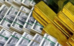 Merkez Bankası rezervleri 32 haftanın en yüksek seviyesine çıktı