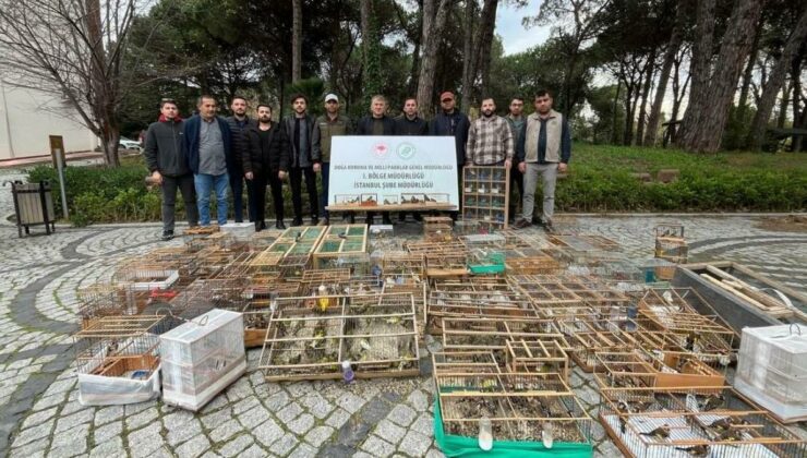 Avlanması yasak kuşlara el konuldu… Kuşları satmaya çalışanlara ceza yağdı