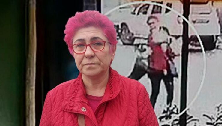 Önce kadına sonra onun köpeğine saldırdı! Pitbull dehşeti kamerada