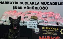 Kırıkkale’de TIR’ın dorsesine gizlenmiş 60,5 kilogram skunk ele geçirildi – Güncel haberler