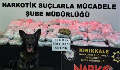 Kırıkkale’de TIR’ın dorsesine gizlenmiş 60,5 kilogram skunk ele geçirildi – Güncel haberler