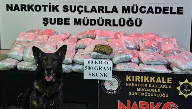 Kırıkkale’de TIR’ın dorsesine gizlenmiş 60,5 kilogram skunk ele geçirildi – Güncel haberler