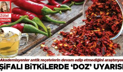 Bergamalı Galen’in 2 bin yıllık şifa reçeteleri