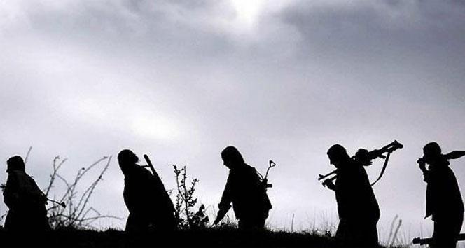 Son dakika… MSB duyurdu: 2 PKK’lı terörist teslim oldu