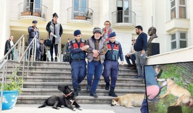 ‘Akyarlar canisi’ tutuklandı