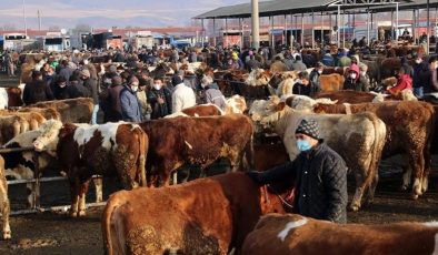 Bakanlıktan 81 ile ‘Acele’ kodlu yazı: Tüm hayvan pazarları kapatıldı
