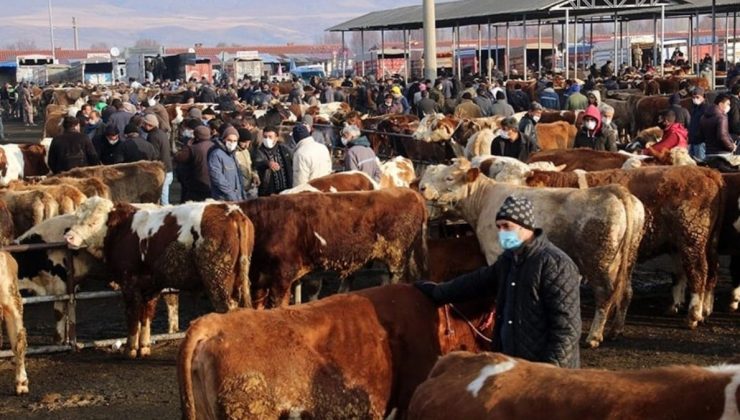 Bakanlıktan 81 ile ‘Acele’ kodlu yazı: Tüm hayvan pazarları kapatıldı