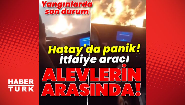 Son dakika haberi: Orman yangınlarında son durum! İzmir’deki yangın 3.gününde! Hatay’daki yangına 16 ilden destek ekip geldi | Son dakika haberleri
